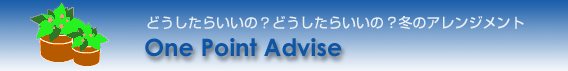 opa-title.gif