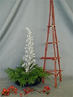 xmas02.jpg