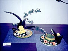 05.jpg