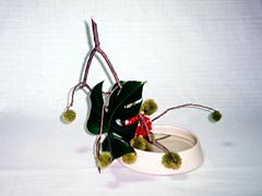 hijikigawa.jpg